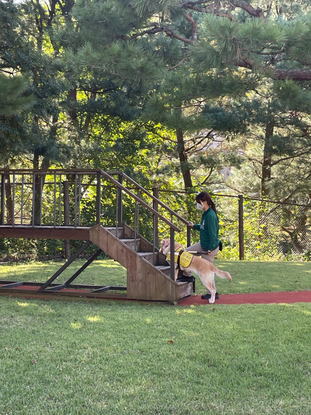 안내견 보행 시범을 보이는 지니/사진=한지연기자