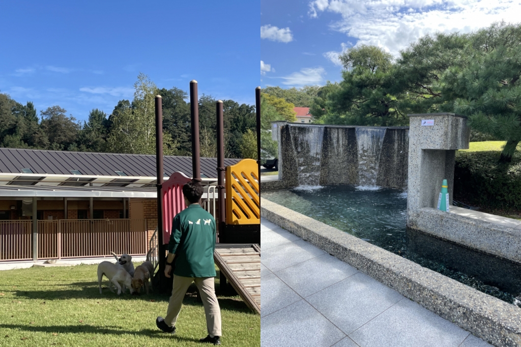 안내견 훈련생들이 뛰어노는 놀이터와 수영을 즐기는 곳. 삼성화재안내견학교에선 농담삼아 '개리비안베이'라고 불린다/사진=한지연기자