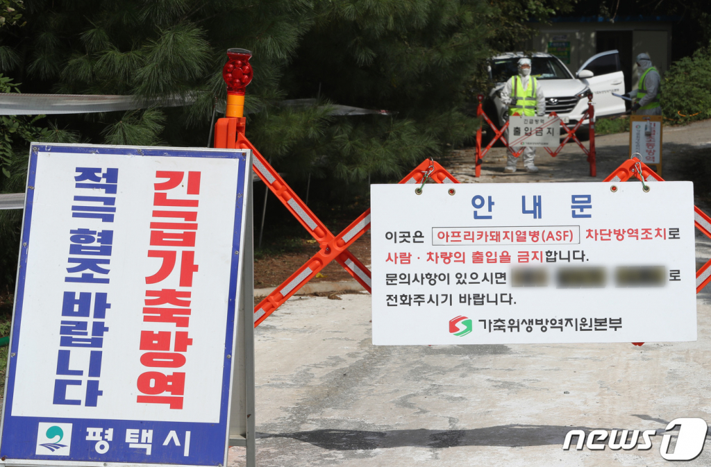 29일 오후 경기 평택시의 한 양돈농장 입구에서 방역당국 관계자가 출입을 통제하고 있다. /사진=뉴스1