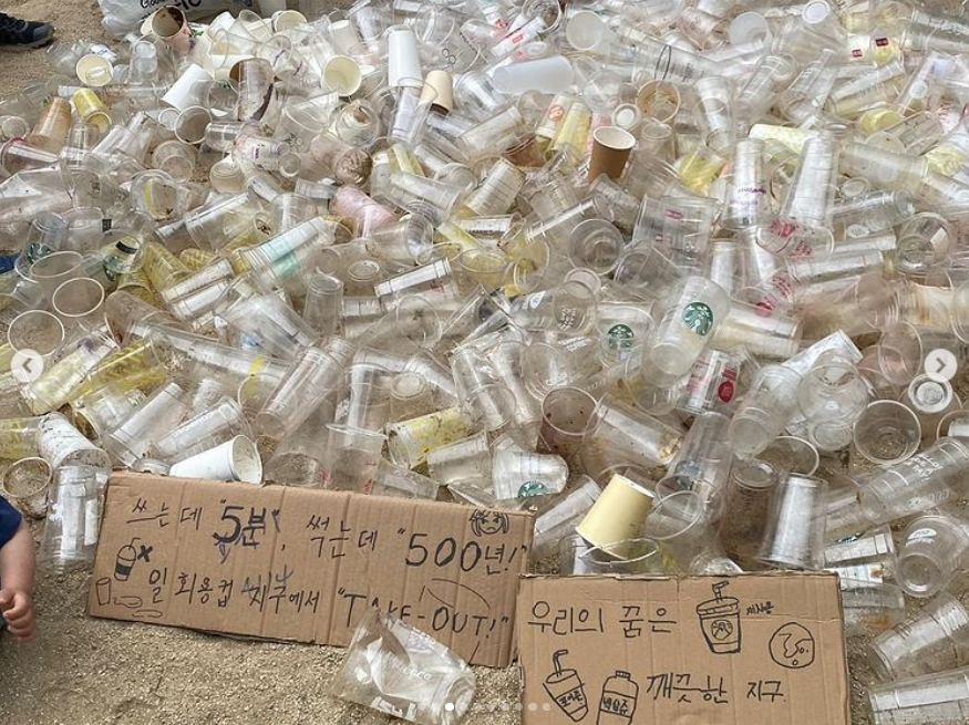 1123개의 일회용컵 쓰레기./사진=와이퍼스