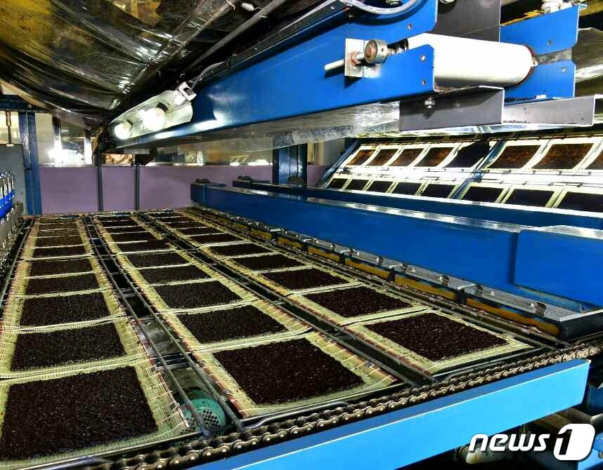 (평양 노동신문=뉴스1) = 북한 노동당 기관지 노동신문은 19일 해주대경가공사업소가 새로 개건됐다고 전했다. 신문은 김정은 당 총비서가 건설과 운영에 필요한 문제를 직접 '밝혀주었다'라며 이 공장에서 각종 수산물이 종합적으로 가공될 것이라고 전했다.   [국내에서만 사용가능. 재배포 금지. DB 금지. For Use Only in the Republic of Korea. Redistribution Prohibited]  rodongphoto@news1.kr  