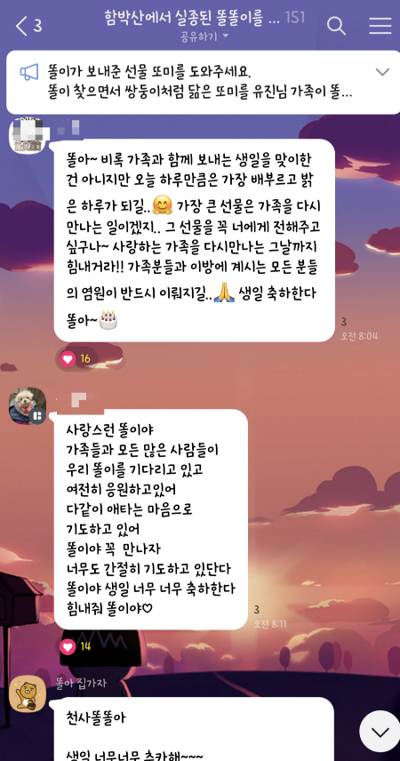 카카오톡 오픈채팅방에 모여 똘이를 찾으려 애쓰고 응원하는 사람들. 오픈채팅방에서 '함박산 똘똘이'라 검색하면 된다./사진=남형도 기자