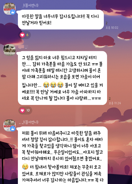 카카오톡 오픈채팅방에 모여 똘이를 찾으려 애쓰고 응원하는 사람들. 오픈채팅방에서 '함박산 똘똘이'라 검색하면 된다./사진=남형도 기자