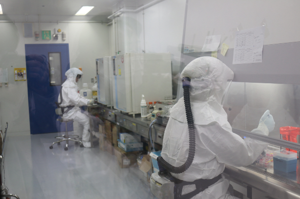 생물안전 3등급 연구시설에서 연구자들이 보호장비를 착용하고 실험을 진행하고 있다/사진=질병관리청