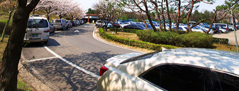 골프장 주차장에 빼곡한 차량들. / 사진=사이언스대덕골프장