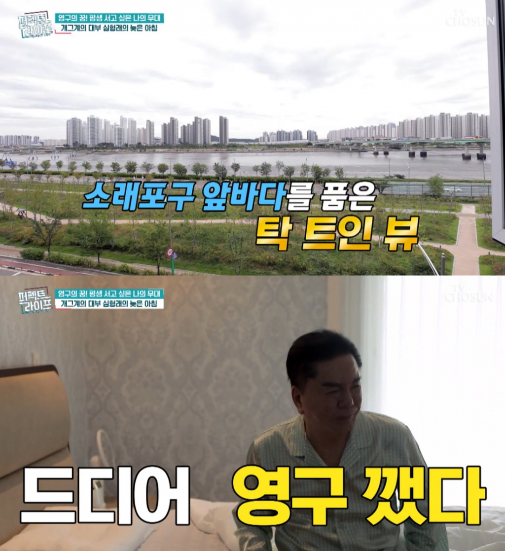 /사진=TV조선 '퍼펙트 라이프' 방송화면 캡처