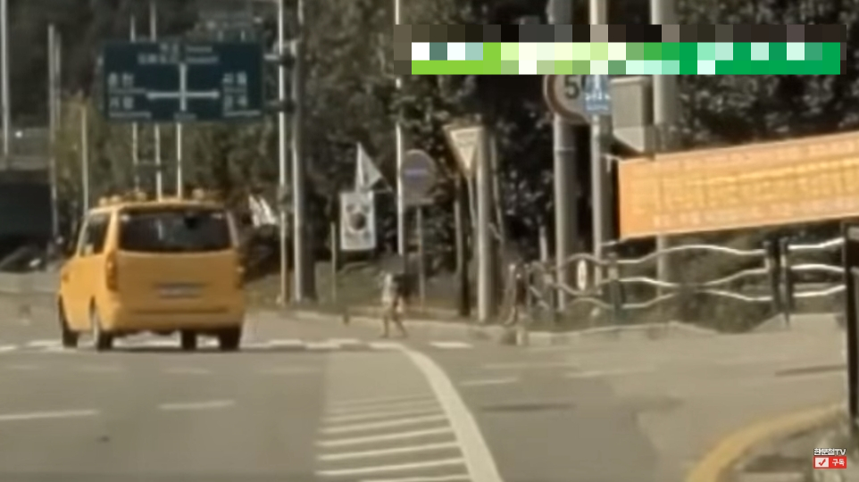 어린이보호구역에서 한 초등학생이 갑자기 도로로 튀어나와 장난치듯 차 앞을 왔다 갔다하고 있다. /사진=유튜브 한문철 TV