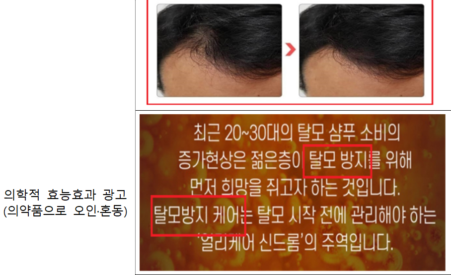 탈모샴푸 허위광고 주요 적발 사례/출처: 식품의약품안전처