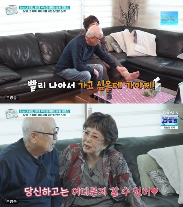 /사진=TV조선 시사·교양 '퍼펙트 라이프'