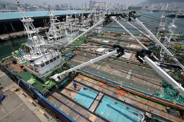 (부산=뉴스1) 김영훈 기자 = 6월16일 부산 서구 부산공동어시장에 선박들이 선박용 경유가 급등하여 조업을 나가지 못해 정박되어 있다. 2022.6.16/뉴스1  