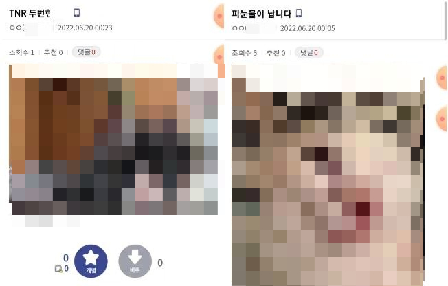 지난 6월 온라인 커뮤니티 디시인사이드에 고양이 최소 열마리를 학대하고 인증한 글들이 올라왔다. 글 게시자 VPN테스트는 어떤 이용자가 자신에 올렸던 학대 글, 영상들을 모아 '학대범 저장소' SNS(사회관계망서비스)를 운영하자 "계정을 삭제하지 않으면 고양이를 학대하겠다"고 경고했다. 계정이 삭제되지 않자 이렇게 학대 글들을 올렸다./사진=독자 제공.