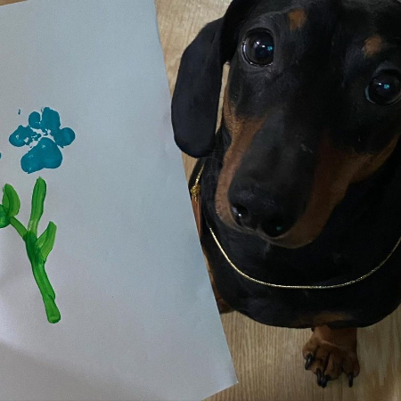 자세히 보면 표정이 다 다르지요. 무언가 바랄 때, 놀아달라고 할 때, 쓰다듬어 달라고 할 때, 산책 나가자고 할 때. 강아지와 함께 산다는 건, 그 섬세한 표정을 다 알게된단 것. 밤비가 지금 어떤 표정을 짓는지 우린 몰라도, 보호자인 유지 씨는 아마도 다 알 거라고. 그림 옆의 밤비./사진=밤비 보호자 유지님