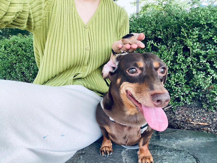 함께하는 게 일상이 되었다는 것, 매일 소소한 행복이 기다리고 있단 것./사진=밤비 보호자 유지님