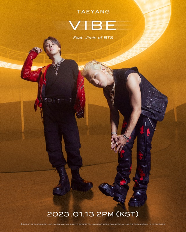 가수 태양, 그룹 방탄소년단(BTS) 지민./사진=더블랙레이블