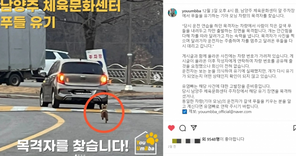 /사진=유기동물의엄마아빠(@youumbba)