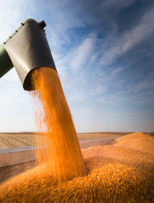 /사진=게티이미지뱅크 제공