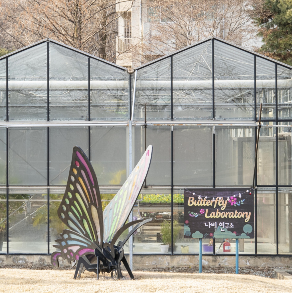 에버랜드 나비 연구소. /사진제공=에버랜드