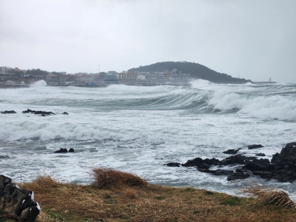 24일 오후 제주 해안도로의 모습. 사진을 찍기 위해 들른 해안도로는 제대로 서있기도 어려웠다./사진=박상곤 기자