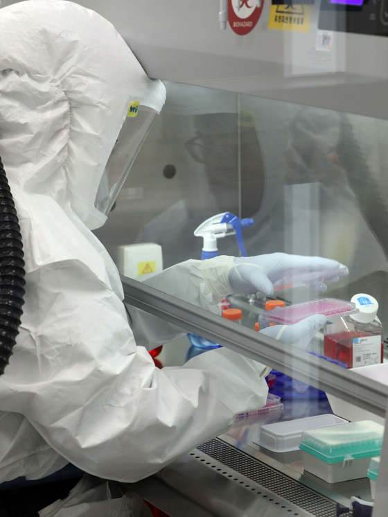 (청주=뉴스1) 장수영 기자 = 질병관리청 연구원들이 21일 충북 청주시 질병청 공공백신개발지원센터 생물안전 3등급 실험실에서 코로나19 백신 임상시험 효능평가 분석을 위해 일반세포의 바이러스 감염 및 백신의 효능 등을 분석하는 임상시험검체 분석시험을 수행하고 있다. 사진은 기사 내용과 무관. 2021.12.21/뉴스1