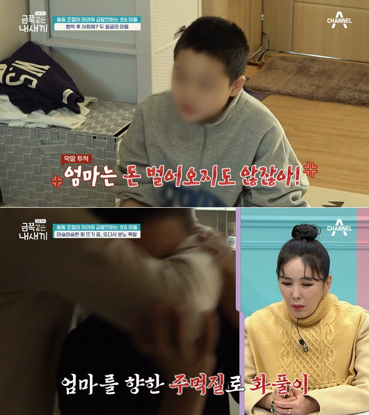 /채널A '요즘 육아-금쪽같은 내새끼'