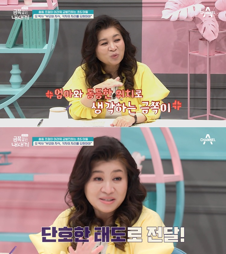 /채널A '요즘 육아-금쪽같은 내새끼'