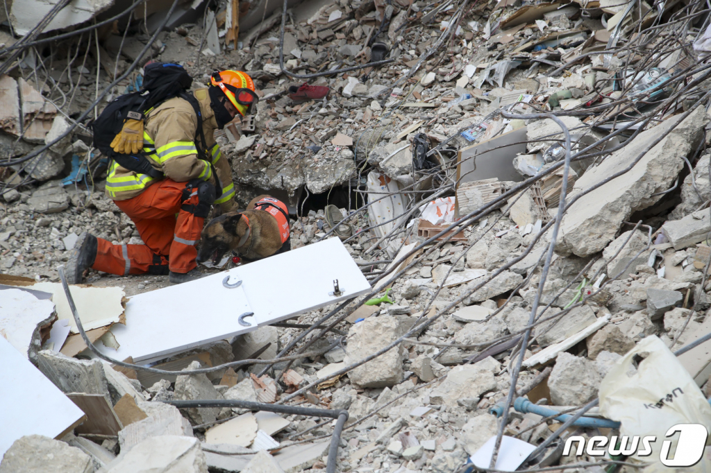 (안타키아(튀르키예)=뉴스1) 김도우 기자 = 12일 오전(현지시간) 튀르키예 하타이 주 안타키아 지진 피해 현장에서 대한민국긴급구호대(KDRT)가 구조활동을 하고 있다. 2023.2.12/뉴스1  Copyright ? 뉴스1. All rights reserved. 무단 전재 및 재배포 금지.