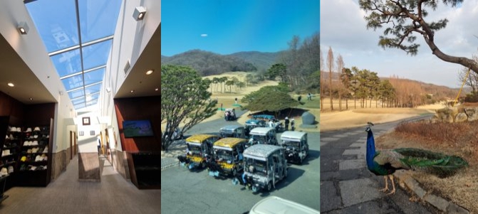 왼쪽부터 클럽하우스에서 락커룸 들어가는 입구, 동물 모양으로 래핑한 카트, 글렌로스의 명물 공작새/사진=임윤희 기자