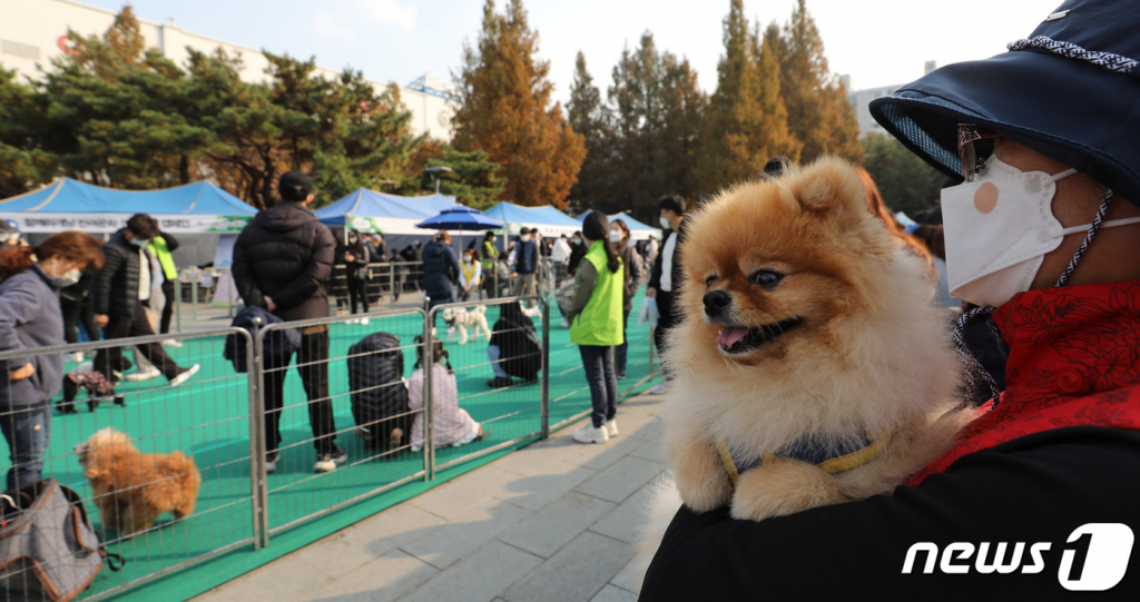 (서울=뉴스1) 박지혜 기자 = 14일 서울 노원구 등나무문화공원에서 '2021 노원에서 반려동물과 함께(노원반함)’라는 주제로 열린 반려동물과 반려인을 위한 문화축제를 찾은 시민들이 반려동물과 즐거운 시간을 보내고 있다. 2021.11.14/뉴스1