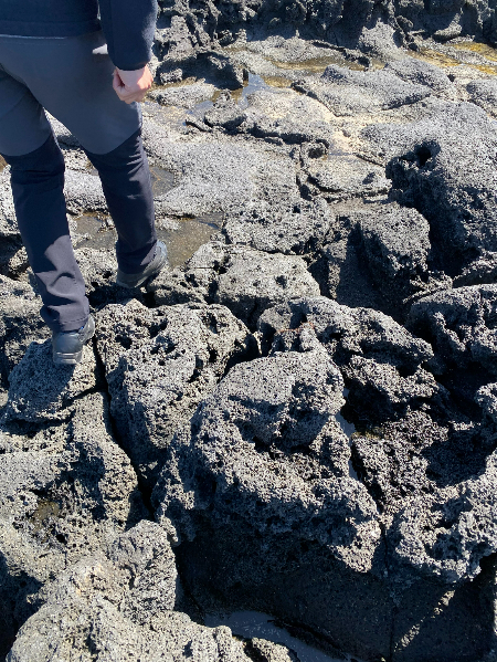 울퉁불퉁한 현무암반 지대를 남 경감과 함께 걸어가봤다./사진=남형도 기자