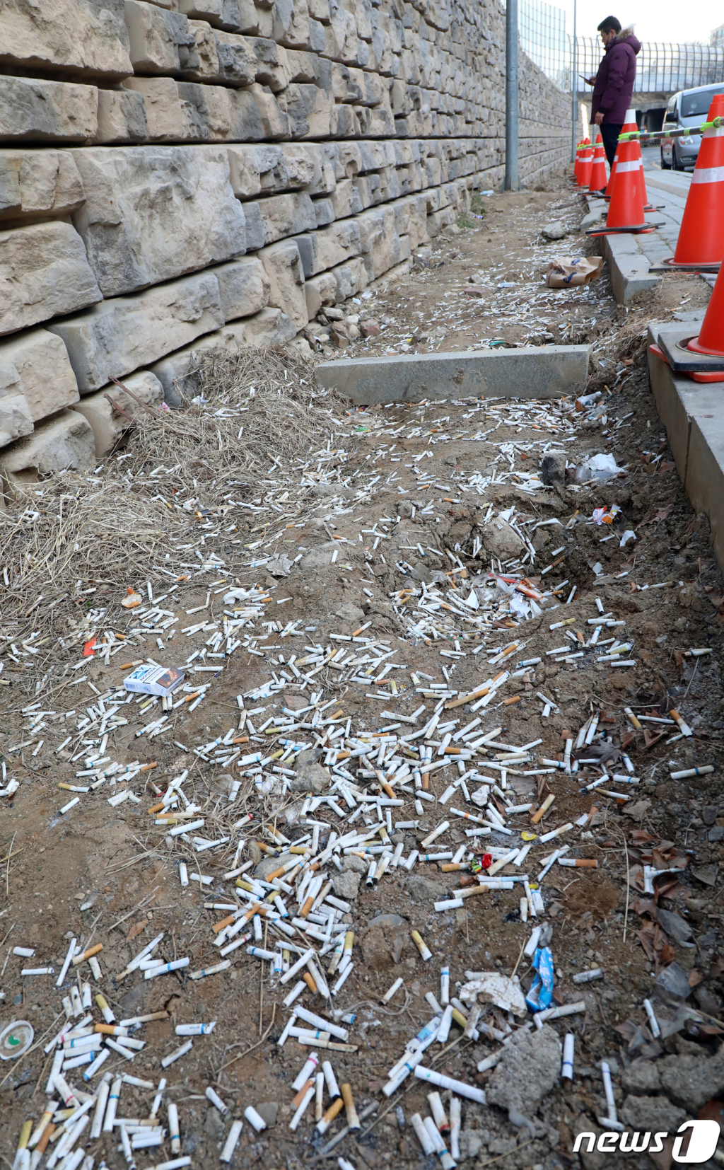 (서울=뉴스1) 김명섭 기자 = 23일 서울 송파구 서울아산병원 동관 후문 인도옆 공터에 수많은 담배꽁초가 버려져 눈살을 찌푸리게 하고 있다. 2021.2.23/뉴스1  