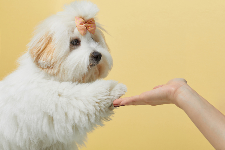 사진=게티이미지뱅크