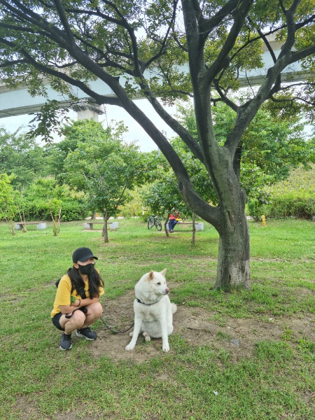 어느 여름, 푸르른 잔디밭에서 나란히 앉은 희영씨와 보굠이. 이 평범한 것도 하기 힘들었을, 어느 개에게 찾아온 찬란한 행복./사진=보굠이 보호자님