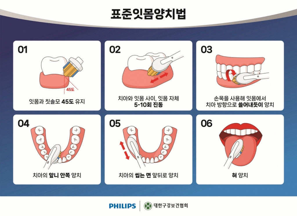 잇몸을 중심으로 양치하는 '표준 잇몸 양치법' /사진=대한구강보건협회·필립스코리아