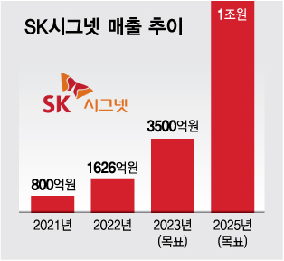그래픽=김다나 디자인기자