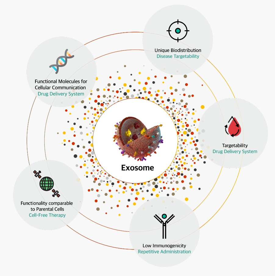 엑소좀 활용 개념도/사진=시프트바이오 홈페이지
