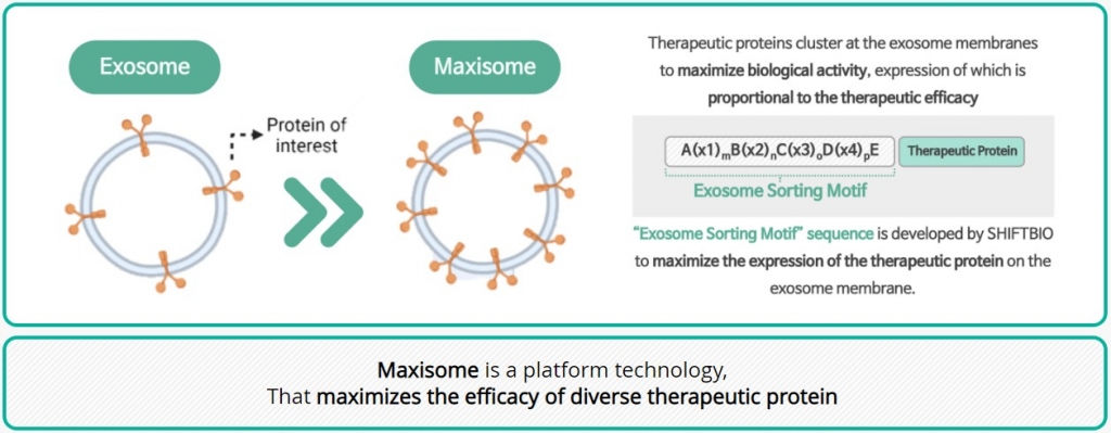 시프트바이오 맥시좀 개념도/사진=시프트바이오 홈페이지