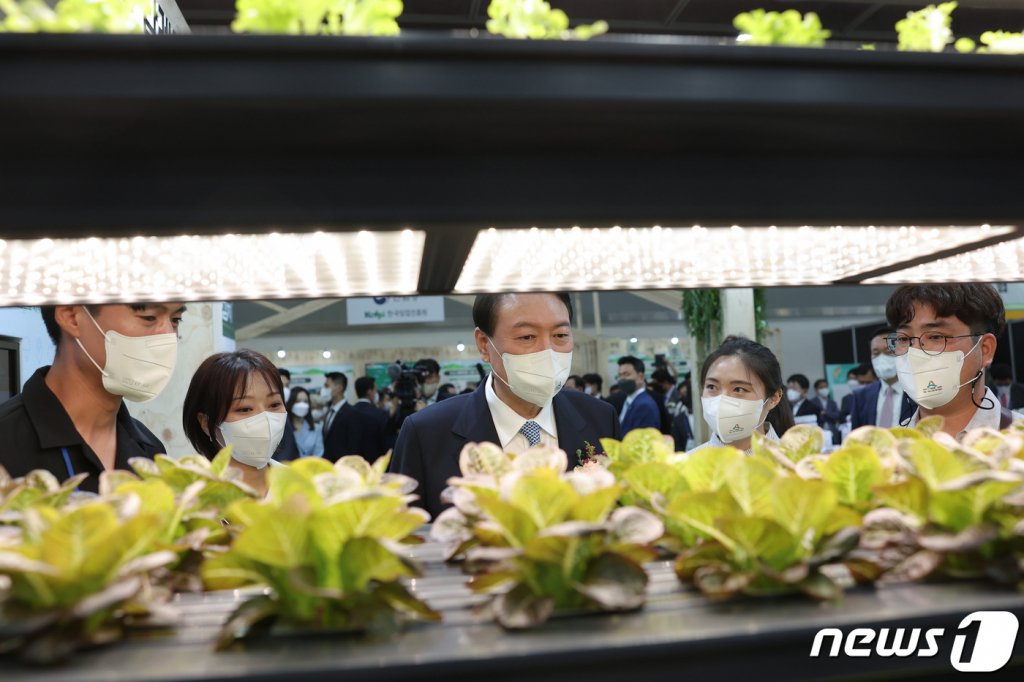 (서울=뉴스1) 안은나 기자 = 윤석열 대통령이 24일 서울 서초구 aT센터에서 열린 '2022 에이팜쇼(A FARM SHOW) 창농·귀농 고향사랑 박람회'에서 청년 농부사관학교 졸업생들과 스마트팜 농작물을 살펴보고 있다. (대통령실 제공) 2022.8.24/뉴스1  Copyright ? 뉴스1. All rights reserved. 무단 전재 및 재배포 금지.