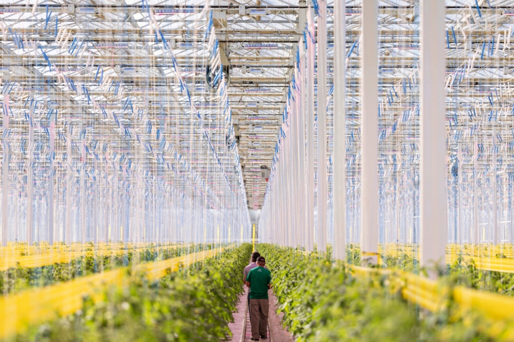 앱하베스트의 리치몬드 농장 내부 /사진제공=