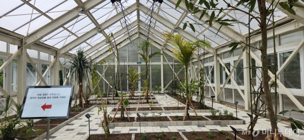 아열대 식물을 재배 중인 온실 내부 모습. 전립성비대증 등 치료제로 쓰이는 쏘팔메토 등 식물이 재배되고 있다./사진= 박미주 기자