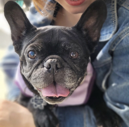 스마일, 앞으론 웃는 일이 더 많을 거야. 더 오래오래./사진=콩지 보호자님 