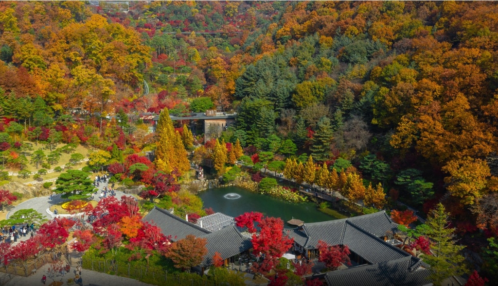 /사진=LG 화담숲 전경, 화담숲 사이트 캡쳐