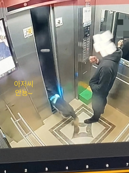 /사진=진솔이 보호자님