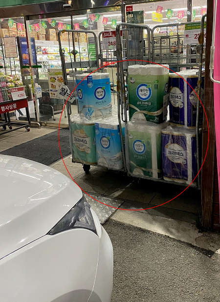 마트 앞 화물 카트에 진솔이를 잠시 묶어 두었고, 카트가 스스로 내리막 경사에 움직이며 강아지를 잃어버렸다./사진=진솔이 보호자님