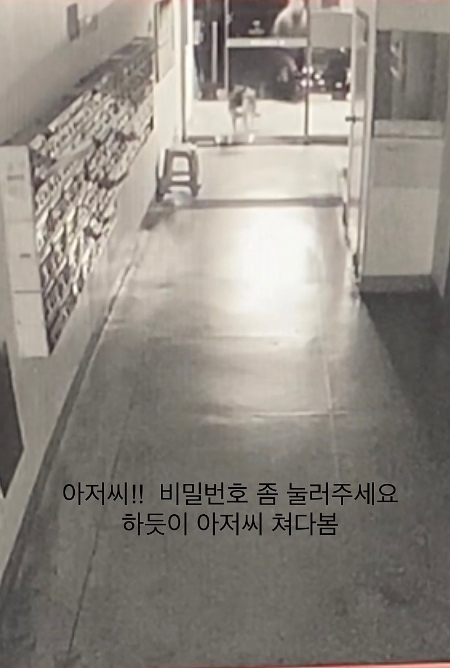 /사진=진솔이 보호자님