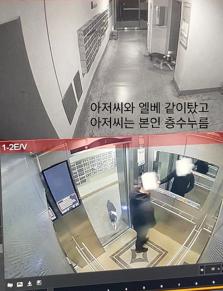 /사진=진솔이 보호자님