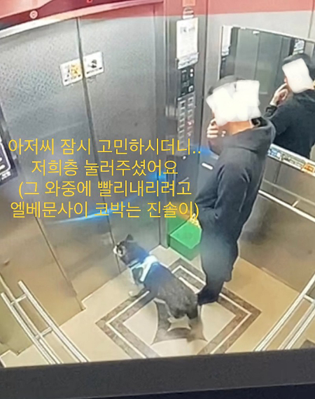 /사진=진솔이 보호자님