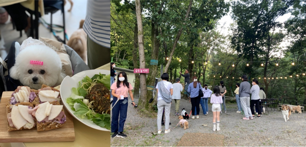 충주시 배샌드위치만들기 체험과, 숲속트레킹/사진제공=한국관광공사