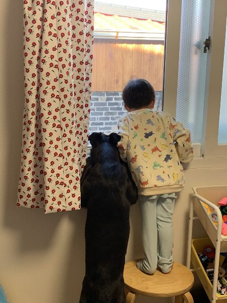 창 밖을 나란히 서서 바라보는, 포카와 마꼬./사진=포카 보호자님