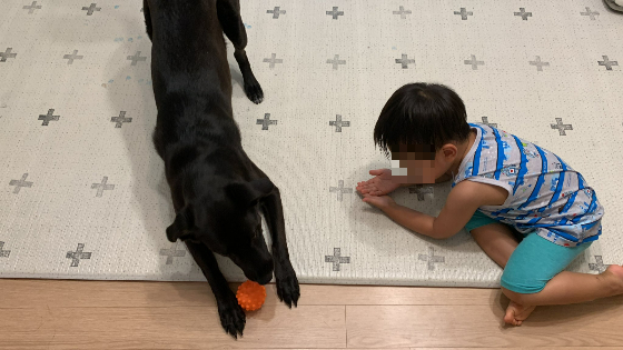 "공 주세요." 포카에게 부탁하는 마꼬./사진=포카 보호자님