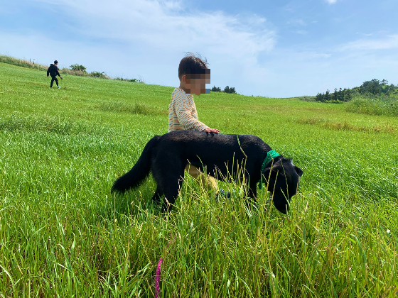 포카와 마꼬, 여행 갔을 때 함께 산책하는 모습./사진=포카 보호자님